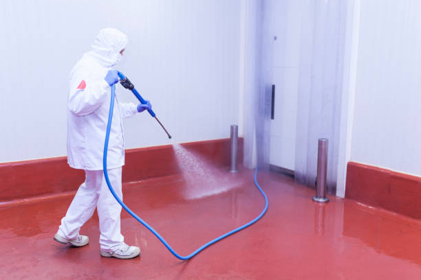 Best Paint Preparation  in Air Force Academy, CO